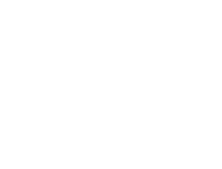 terms