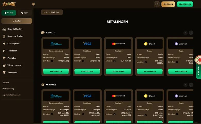 Betaalpagina van Amunbet met bankoverschrijving, Visa, Mastercard, Bitcoin en Ethereum