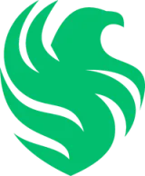 Team Falcons logo