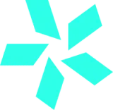 TEAM VISION logo